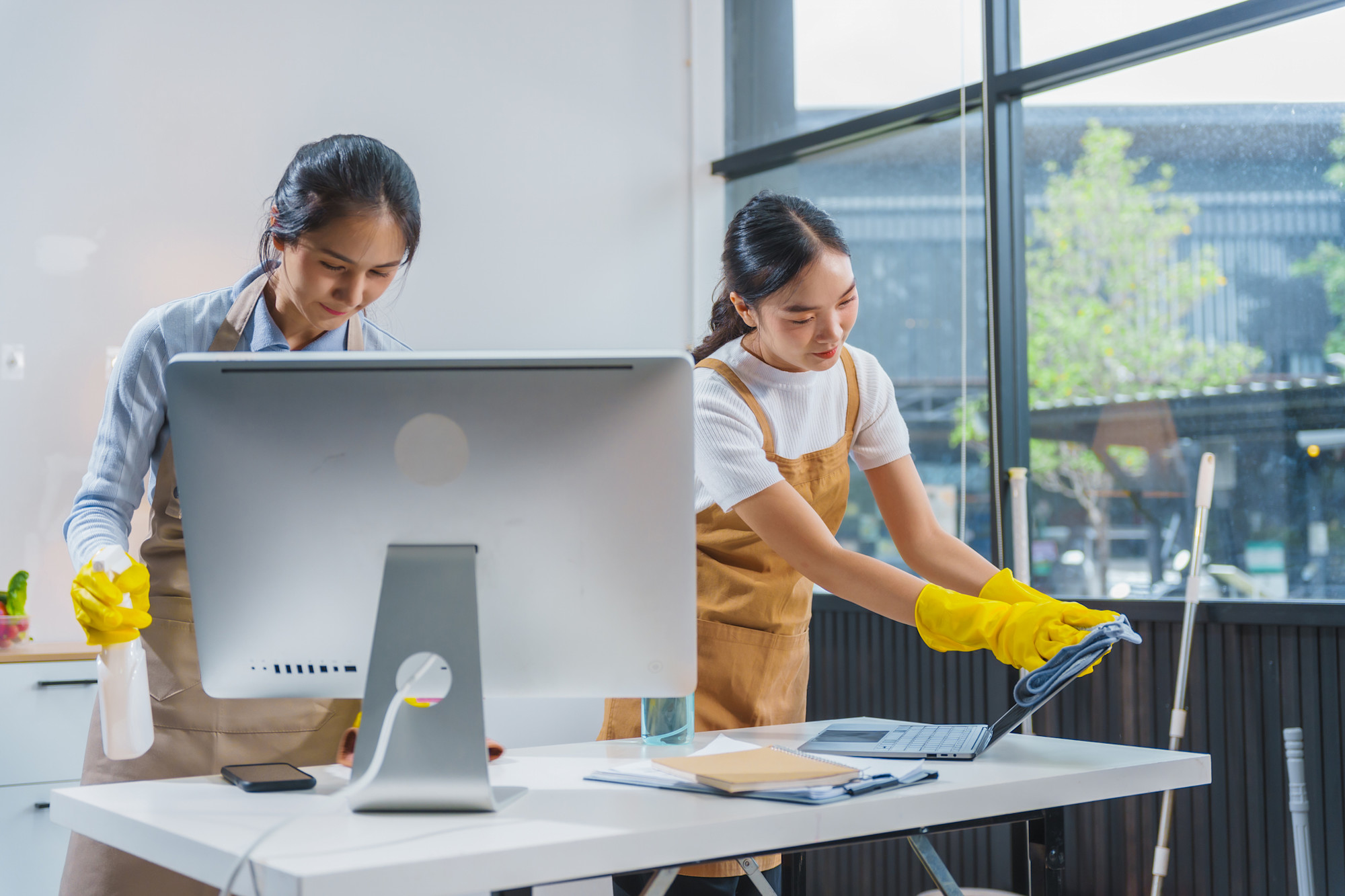 Eco Cleaning Team